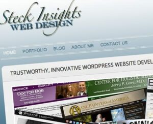 SteckInsights.com Chicago Colorado Springs WordPress Web Design