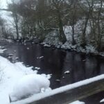 Colleen-Maxey-Scenic Brook in Northumberland near Unison