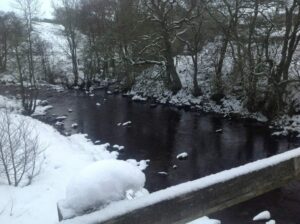 Colleen-Maxey-Scenic Brook in Northumberland near Unison