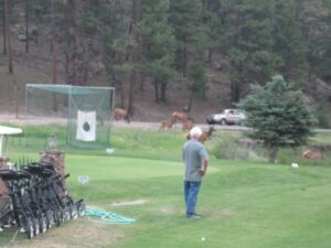 American Art Collector Party - OPA National - Evergreen, CO - 2