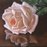 David Hardy – Fallen Rose with Reflection – 6″x 8″ – Oil