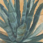 Garden Agave by Brenda Howell