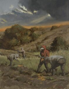 "Carrot Harvest at Dawn" by Chang Warren OPAM