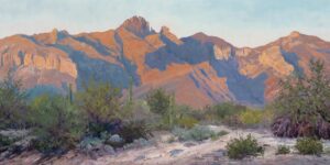 "Last Blush of a Setting Sun" by Carol Swinney OPA