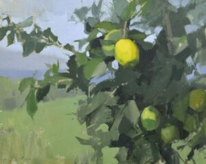 Lime Tree 16x20 Oil