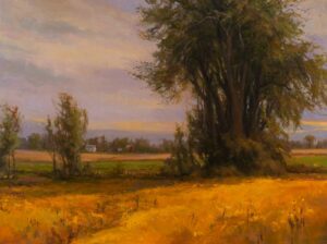 Cottonwoods and Prairie Flowers 30x40