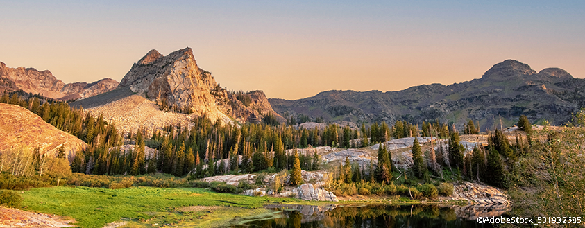 2023 Western Regional Exhibition Featured Image