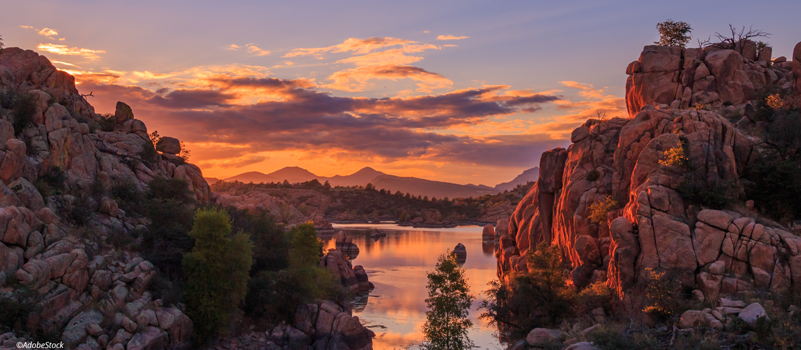 2024 Western Regional Exhibition Featured Image