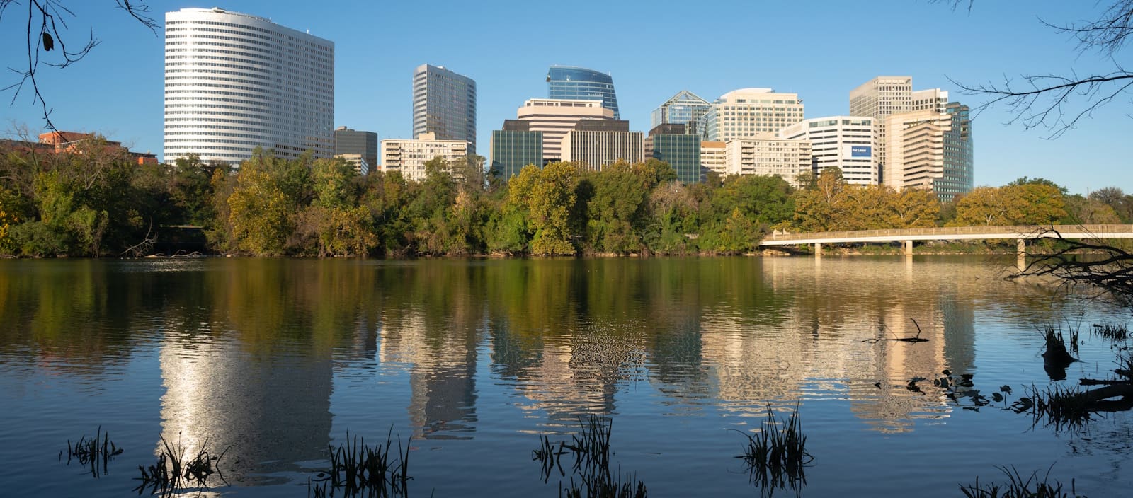 2026 Virtuosos of the OPA Featured Image