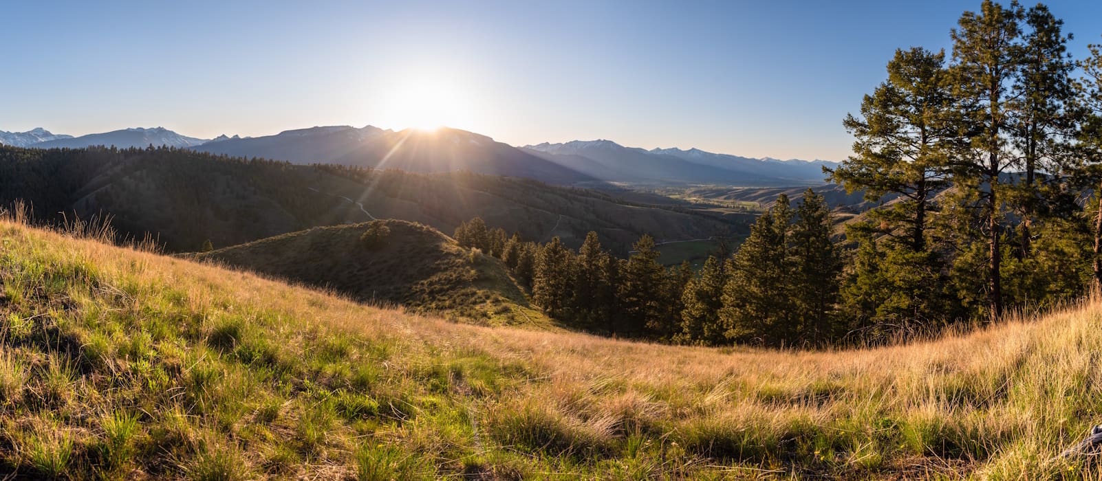 2026 National Juried Salon Featured Image