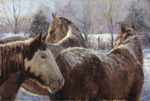 Winter Lessons by Wanda Choate