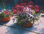 Potted Pansies by Susan Ploughe