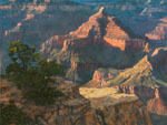 "South Rim Majestic" by Brenda Howell 