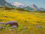 Golder Meadow - Beartooth Range by Ned Mueller OPAM