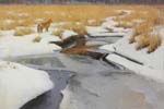 Ice on the Creek by James Coe OPA