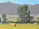 Cottonwood & Bales by Patrick McClellan