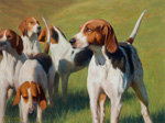 Middleburg Hounds by Jeff Morrow 