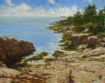 Acadia Maine Afternoon by Robert Johnson