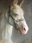 The White Horse by Katherine Galbraith