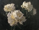 White Peonies by Kyle Ma 