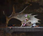 Coexistence by Jeff Legg