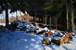 The Woodpile by Marc Anderson