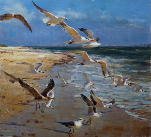 Sanibel Seagulls by Derek W. Penix OPA